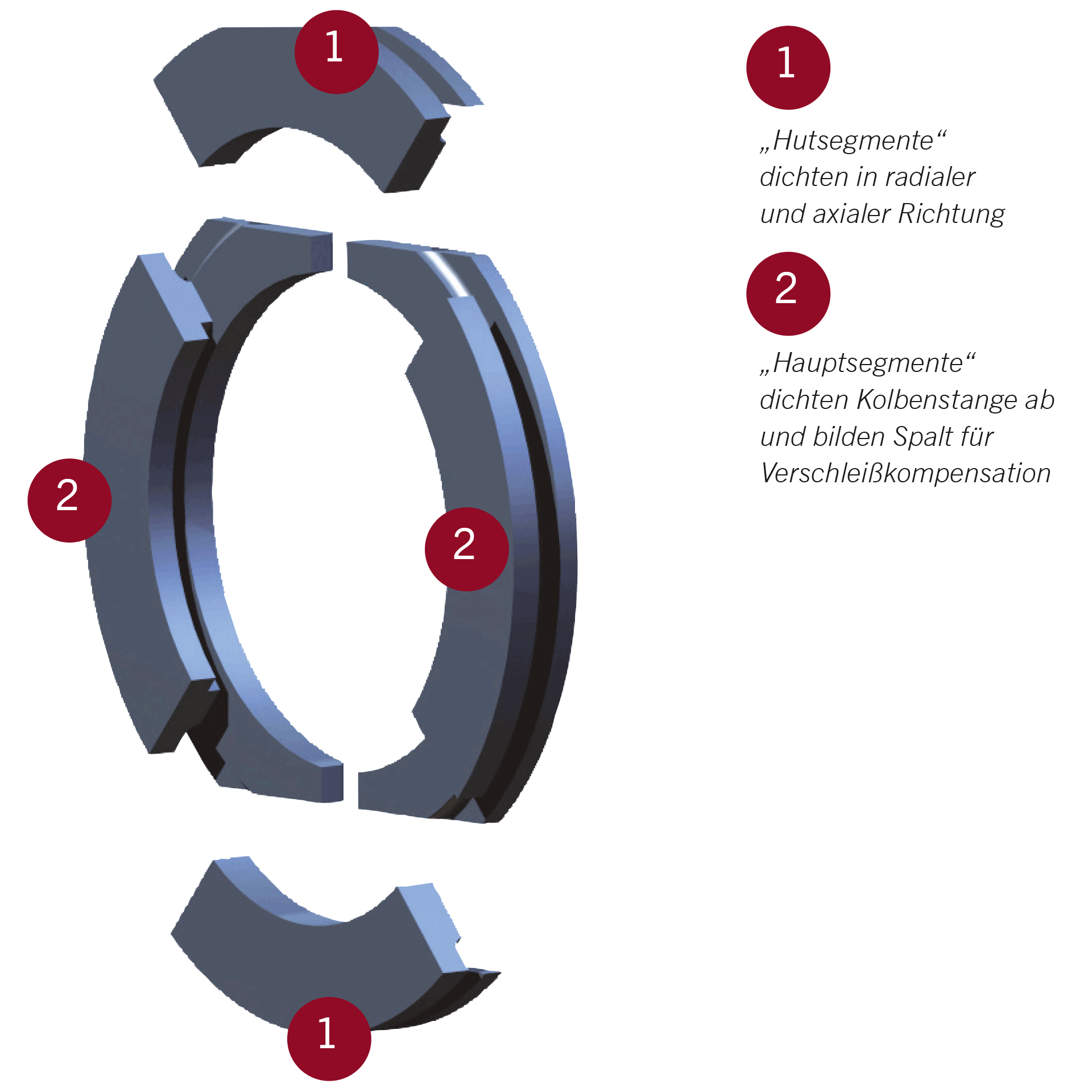 BCD Ring BCD Ring Explosionsabbildung mit Erlaeuterungen