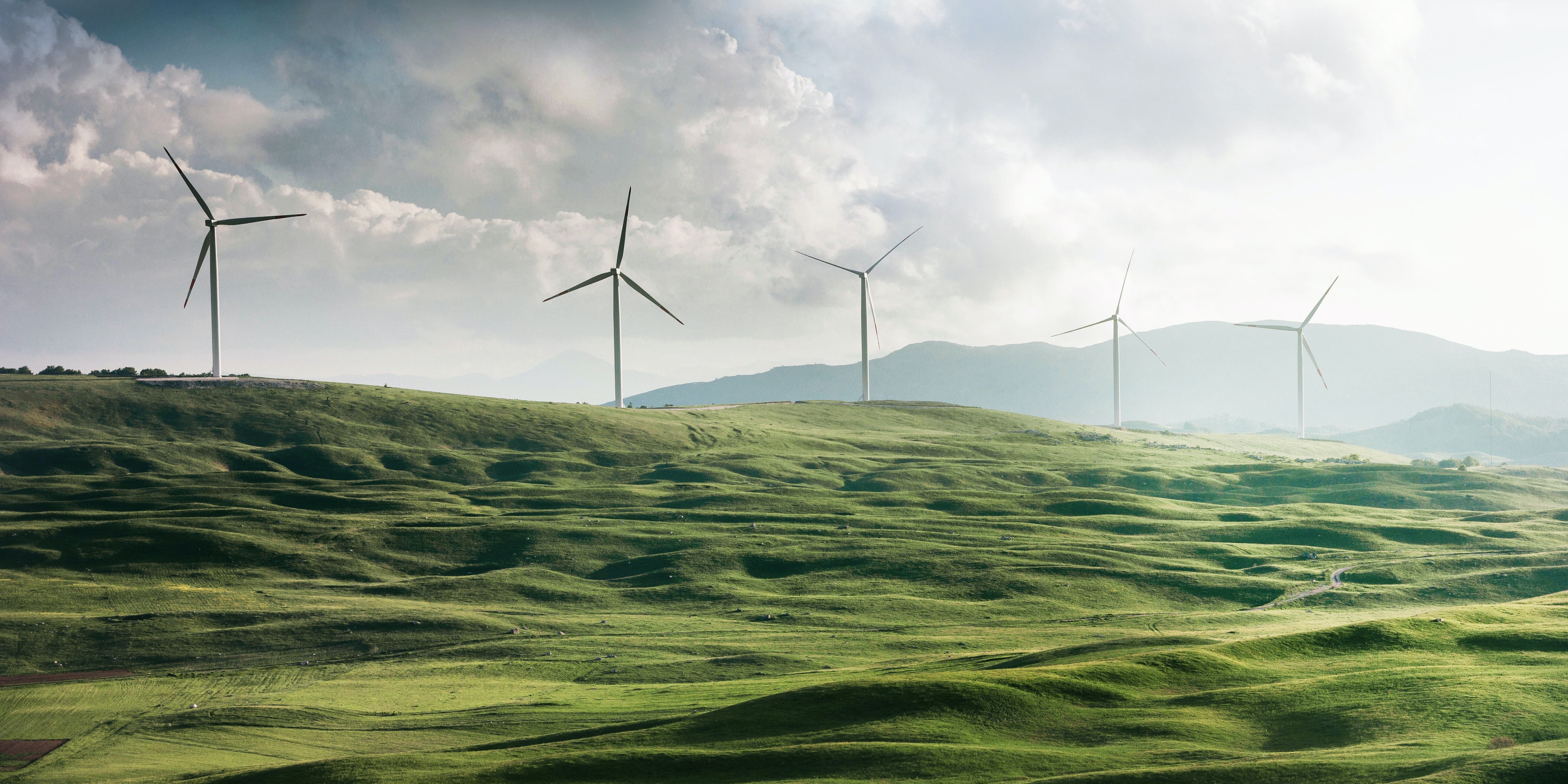 Windmills Windmills